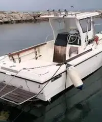 Barca capelli mirage 24