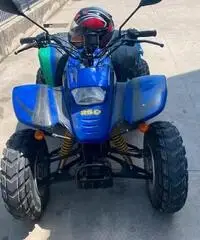 Quad 250