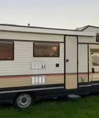 Camper arca America