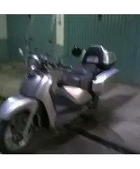 Scoter - Lombardia - Lecco - 2
