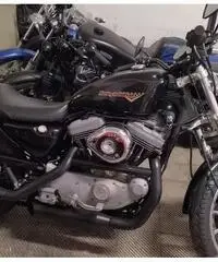 Harley Davidson 1200 sportster