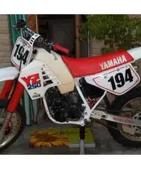 Yamaha yz 250 1987 - Ravenna - 4