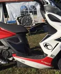 KYMCO 50 - Piemonte - Torino