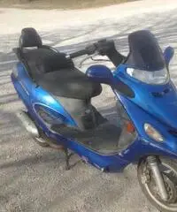 Kymco dink - Monza - 2