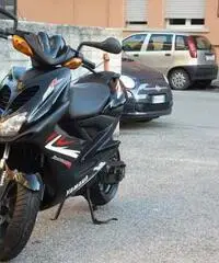 Aerox - R 2009 / 7600 km - Seminuovo - Perugia - 2