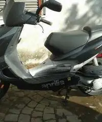 Aprilia SR 50 - Lazio - 2