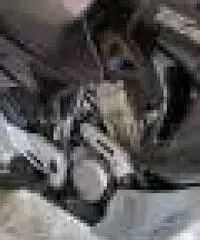 HondaTransalp XL 650 V - Roma - 4