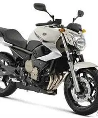 Yamaha XJ6 - Campania