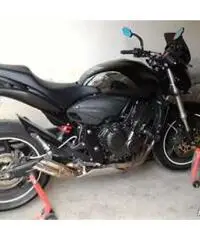 Honda hornet 2010 - Toscana - 3