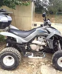 QUAD DINLI 450 - Arezzo - 2