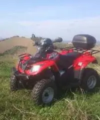 QUAD MXU 300 - Emilia Romagna - 2