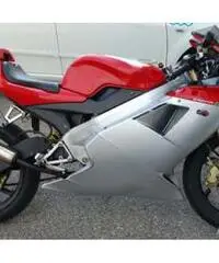 Cagiva mito sp525- 2010. - Venezia - 2