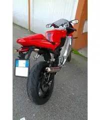 Cagiva mito sp525- 2010. - Venezia - 3