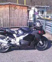 Splendida SUZUKI HAYABUSA - Torino - 3