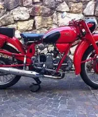 Moto Guzzi - Airone Sport 250 - 1953 - Trentino - Alto Adige - 2