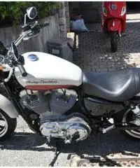 HARLEY-DAVIDSON 883 SUPERLOW XL PERFETTA - Verbania - 3