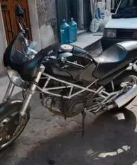 Ducati Monster 600 perfetta