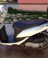 Honda Vision 50 - Abruzzo - 3