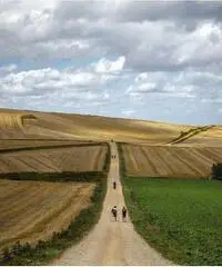 Cammino di Santiago di Compostela!!