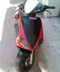 Benelli 491 SBK - Ragusa - 2