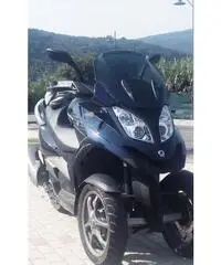 Quadro 350 S - Prato