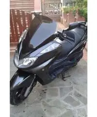 Yamaha Majesty 400 - 2007 - Salerno - 2