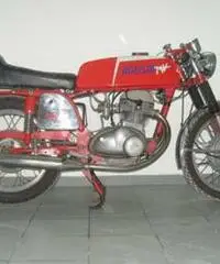 MV AGUSTA 350cc ELETTRONICA TARGA ORO - Basilicata - 2