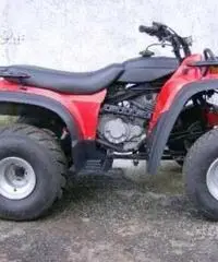 Quad Adly 300 - Matera