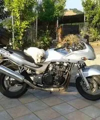 Kawasaki ZR 750s - Chieti - 2