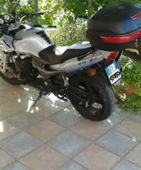 Kawasaki ZR 750s - Chieti - 3