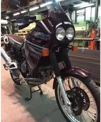 Supertenere 750