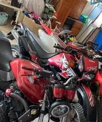 Honda Hornet - 2