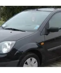 Ford Fiesta neopatentati