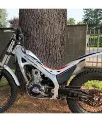 Montesa Cota 260 - 2017 - 2