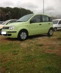 FIAT PANDA - Roma - 3