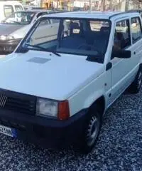 Fiat Panda - Carrara - 2