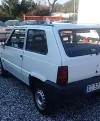 Fiat Panda - Carrara - 4