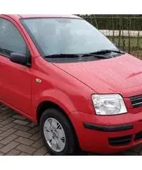 FIAT PANDA 1.3 M.JET DEL 2008 - Lucca - 2