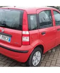 FIAT PANDA 1.3 M.JET DEL 2008 - Lucca - 3