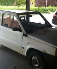 Panda 900 - Toscana - Siena - 3