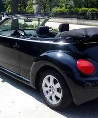 New Beetle Cabrio/Roadster 1.4 16V - Campania