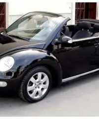 New Beetle Cabrio/Roadster 1.4 16V - Campania - 2