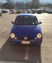 LUPO 1400 - Piemonte - Torino - 3