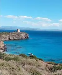 VACANZA AL MARE IN SARDEGNA, POI CHISSÀ..... - 3