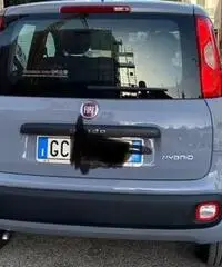 FIAT Panda 3ª serie - 2020 - 2