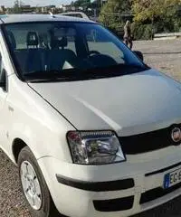 Fiat Panda 1.3 MJT - Roma - 3