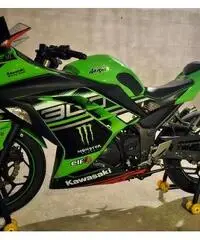 Kawasaki Ninja 300 ABS