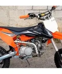 NUOVA PIT BIKE SPORT 125cc 17/14