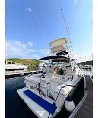 BOSTON WHALER 34 DEFIANCE - 2