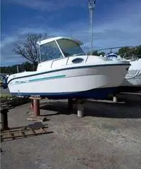 Saver 498 cabin fisher - 3